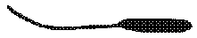 p1_19.gif (1160 bytes)