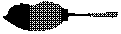 p2_06.gif (1424 bytes)